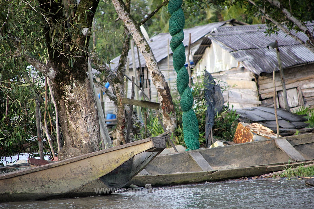 Cameroun, location bateau, visite des mangroves