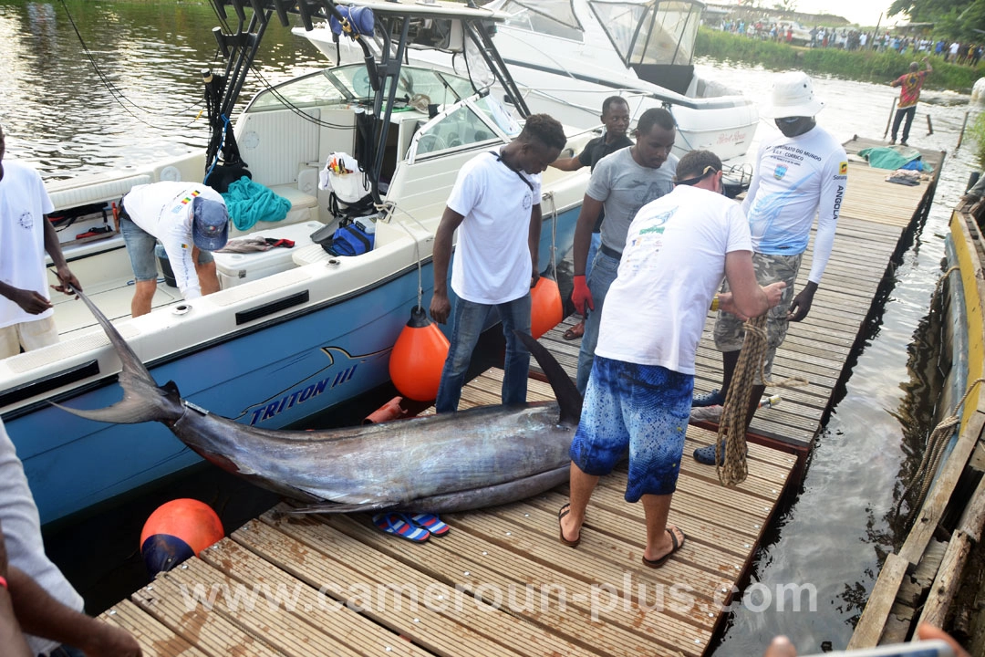 Cameroun, location bateau, pêche au gros