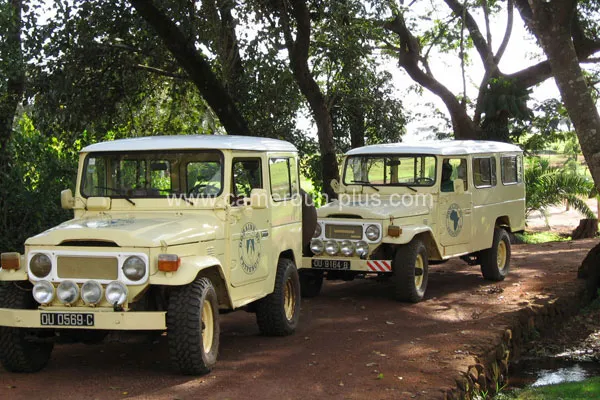 Cameroun, restaurant, Foumban, DOMAINE DU PETPENOUN