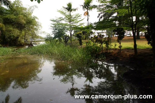 Cameroun, hôtel, Limbe, ETISAH BEACH HOTEL