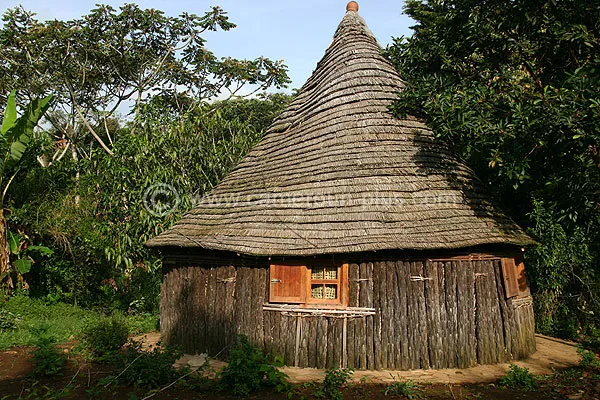 Cameroun, hôtel, Nkongsamba, VILLA LUCIOLE