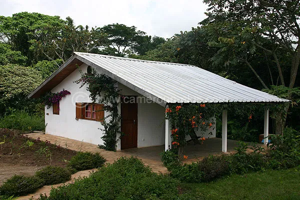 Cameroun, hôtel, Nkongsamba, VILLA LUCIOLE