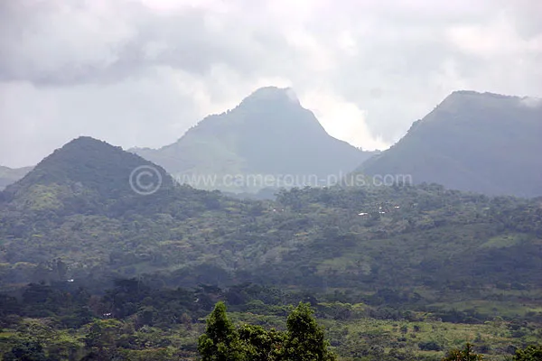 Cameroun, hôtel, Nkongsamba, VILLA LUCIOLE