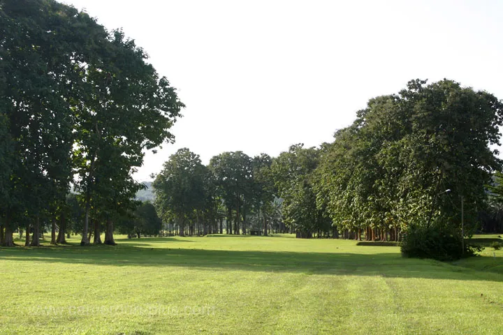 Cameroun, sports & loisirs, LIKOMBA GOLF CLUB