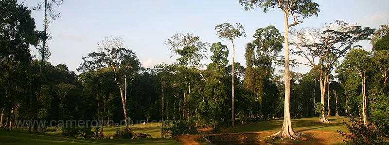 Cameroun, sports & loisirs, Kribi, KRIBI GOLF & COUNTRY CLUB Cameroun, sports & loisirs, Kribi, KRIBI GOLF & COUNTRY CLUB