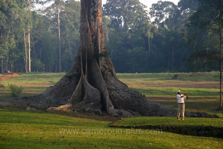 Cameroun, sports & loisirs, KRIBI GOLF & COUNTRY CLUB