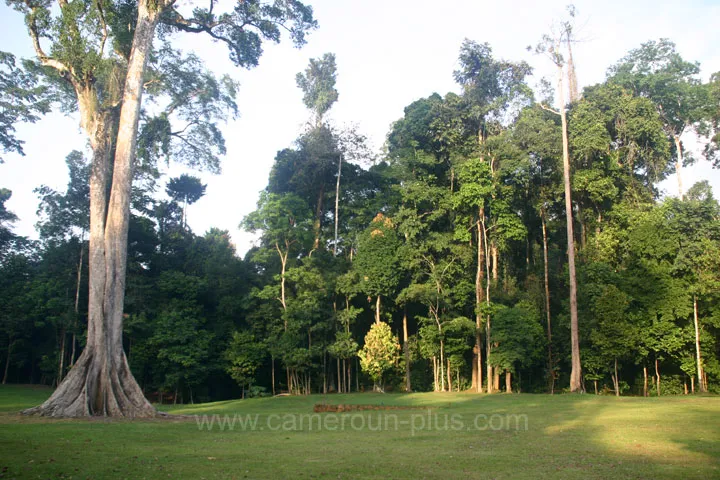 Cameroun, sports & loisirs, KRIBI GOLF & COUNTRY CLUB