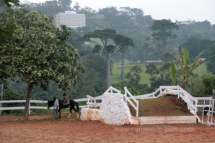 Cameroun, sports & loisirs, CLUB HIPPIQUE DE YAOUNDE