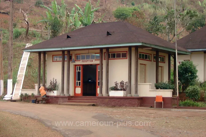 Cameroun, hôtel, Dschang, CENTRE CLIMATIQUE