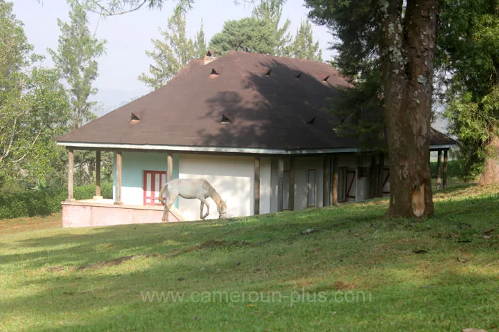 Cameroun, hôtel, Dschang, CENTRE CLIMATIQUE