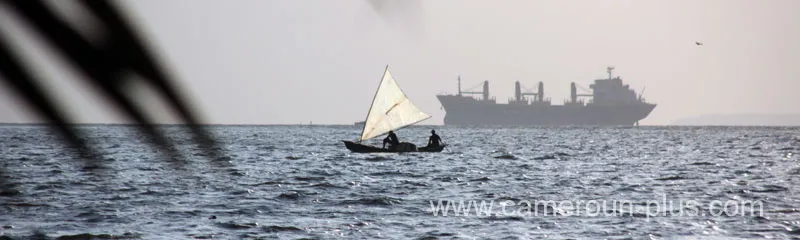 Photo du restaurant LES MANGROVES