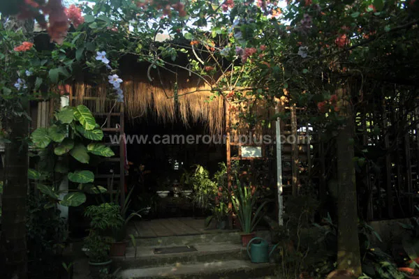 Cameroun, restaurant, Douala - Rivage Wouri, LES MANGROVES