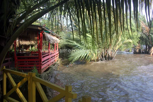 Cameroun, restaurant, Douala - Rivage Wouri, LES MANGROVES