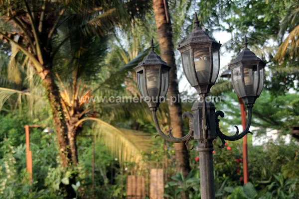 Cameroun, restaurant, Douala - Rivage Wouri, LES MANGROVES