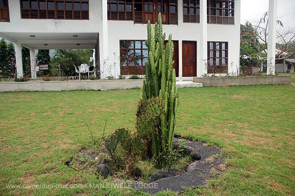 Cameroun, hôtel, Limbe, MANJUWELE LODGE