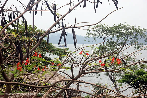 Cameroun, hôtel, Limbe, MANJUWELE LODGE