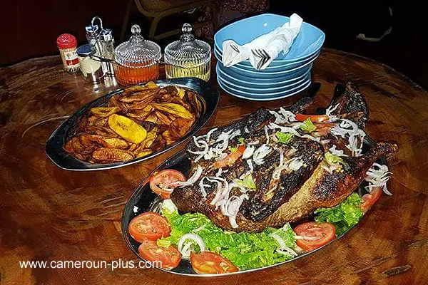 Cameroun, restaurant, Kribi, LE TETRAODON