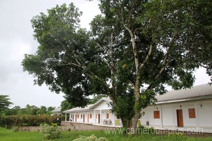 Cameroun, hôtel, Mouanko, VILLAGE BELART