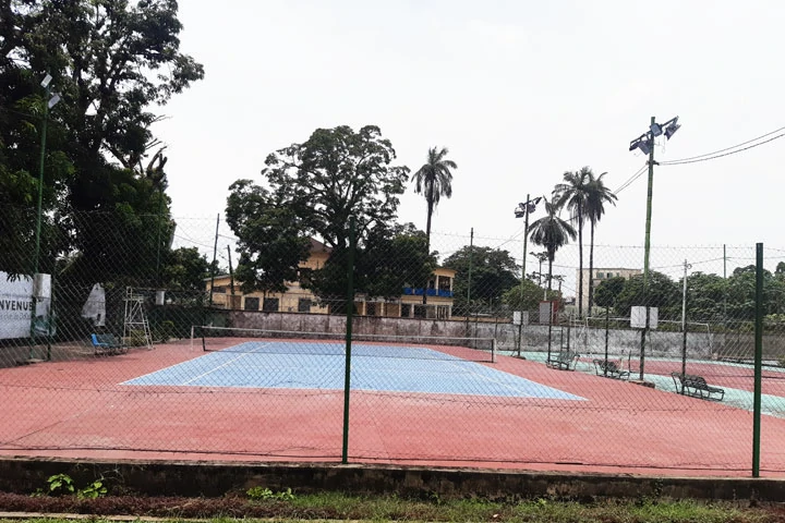 Cameroun, sports & loisirs, COACH MAGGIRUIS