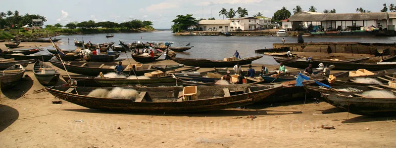Cameroun, tourisme, MARCHE AUX POISSONS Cameroun, tourisme, MARCHE AUX POISSONS