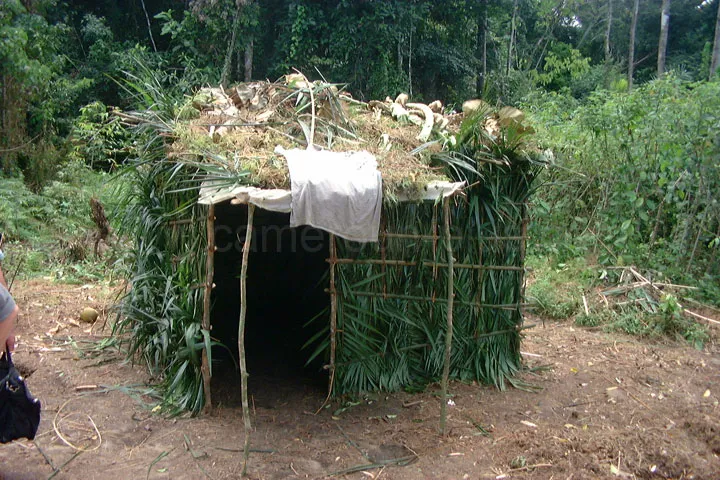 Cameroun, tourisme, VILLAGE PYGMÉS Cameroun, tourisme, VILLAGE PYGMÉS