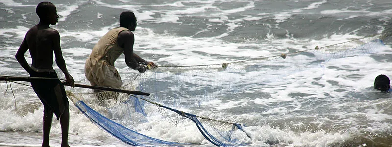 Cameroun, tourisme, PÊCHE ARTISANALE Cameroun, tourisme, PÊCHE ARTISANALE