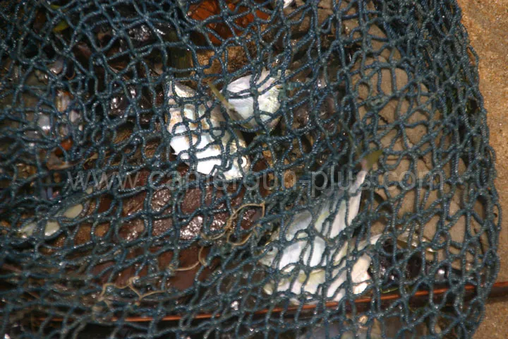 Cameroun, tourisme, PÊCHE ARTISANALE Cameroun, tourisme, PÊCHE ARTISANALE