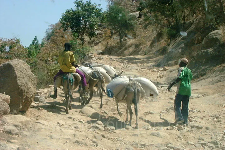 Cameroun, tourisme, OUDJILLA