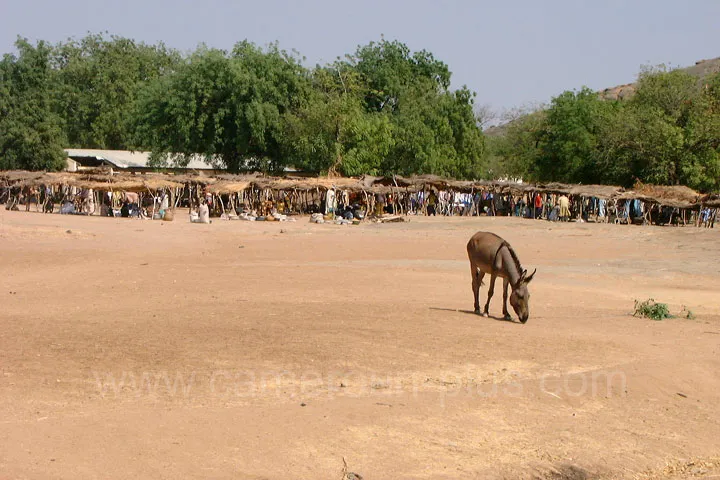 Cameroun, tourisme, LA DENT DE MINDIF