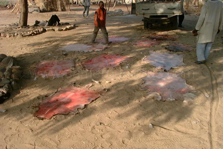 Cameroun, tourisme, TANNERIE TRADITIONNELLE DE MAROUA
