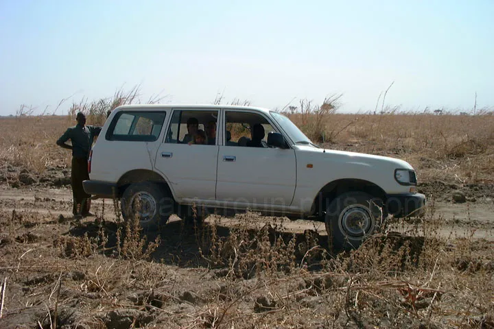 Cameroun, tourisme, PARC NATIONAL DE WAZA