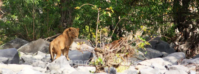 Cameroun, tourisme, PARC NATIONAL DE BOUBANDJIDA