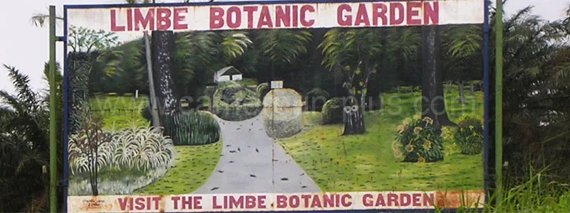 Cameroun, tourisme, JARDIN BOTANIQUE DE LIMBE