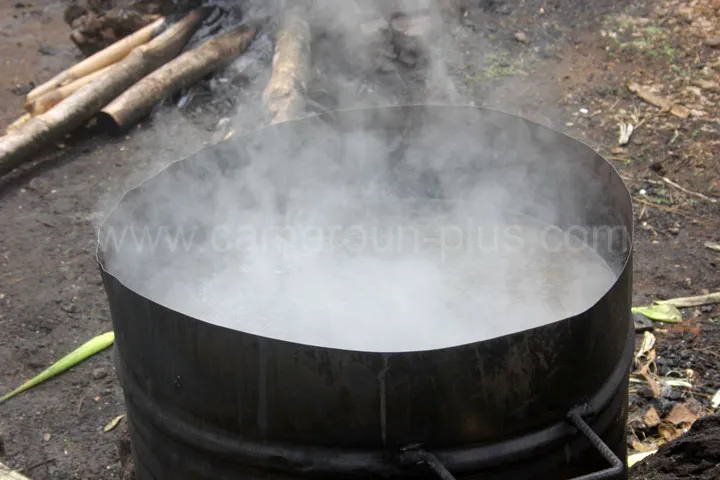 Cameroun, tourisme, POIVRE DE PENJA Cameroun, tourisme, POIVRE DE PENJA