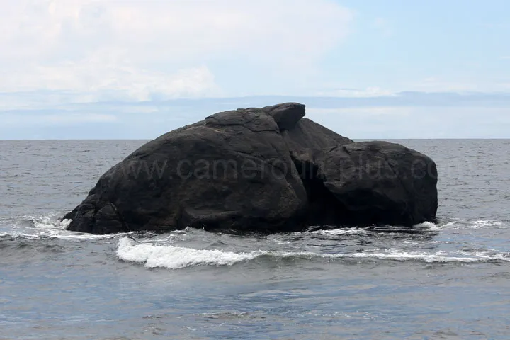 Cameroun, tourisme, LA MAISON DES TORTUES Cameroun, tourisme, LA MAISON DES TORTUES