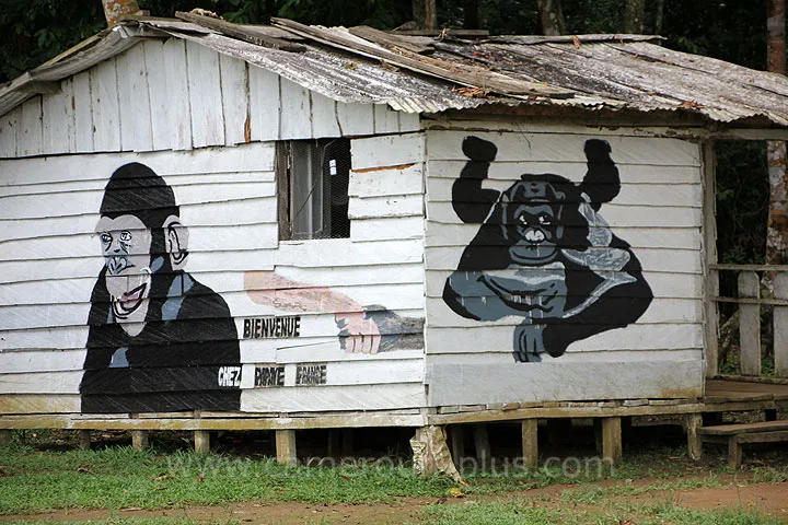 Cameroun, tourisme, PONGO-SONGO Cameroun, tourisme, PONGO-SONGO