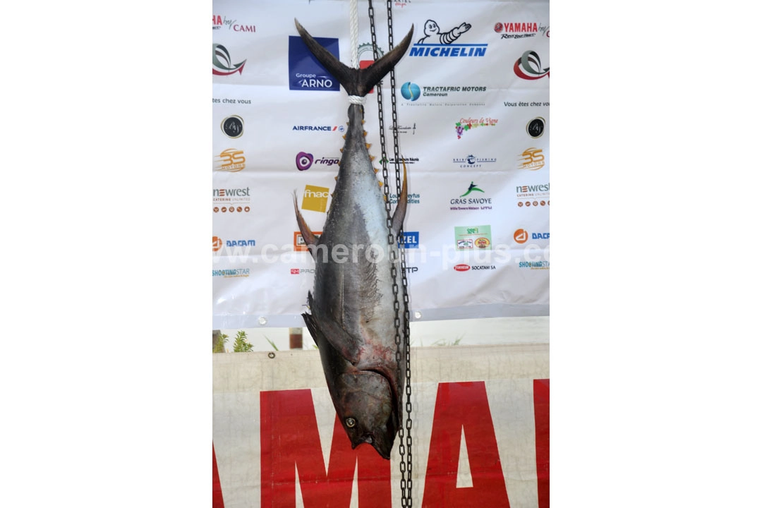 30ème Challenge international de pêche sportive du Cameroun (2018) - Premier jour 15