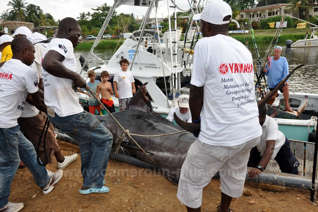 27ème Challenge international de pêche sportive du Cameroun (2015) - Premier jour 02