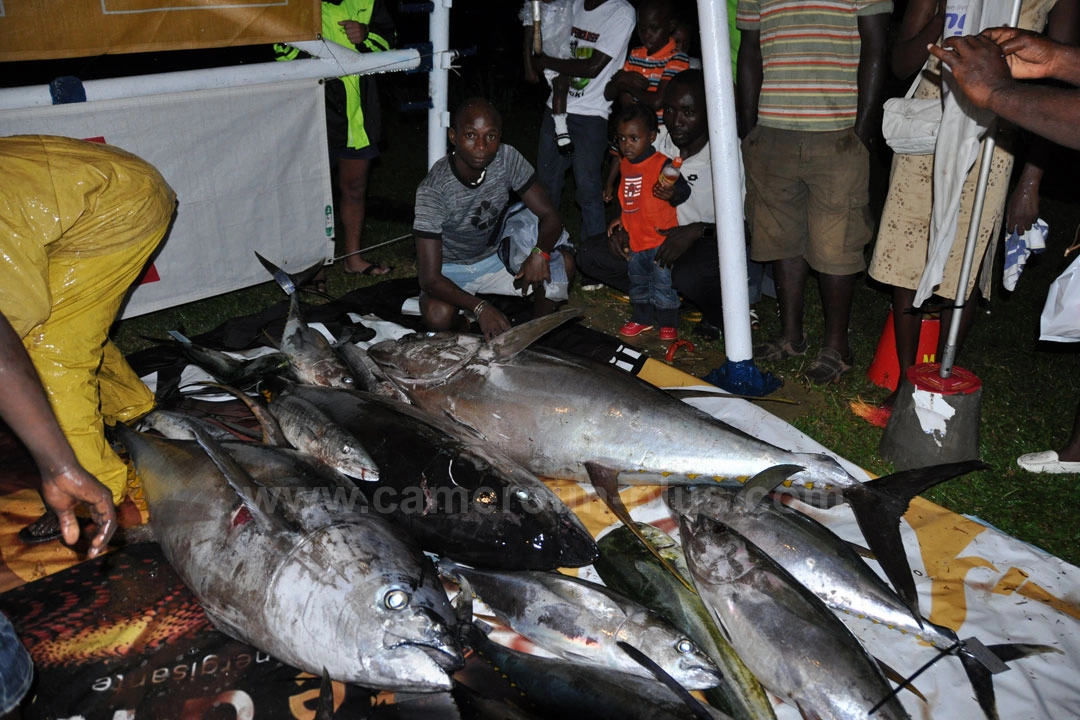 26ème Challenge international de pêche sportive du Cameroun (2014) - Troisième jour 05