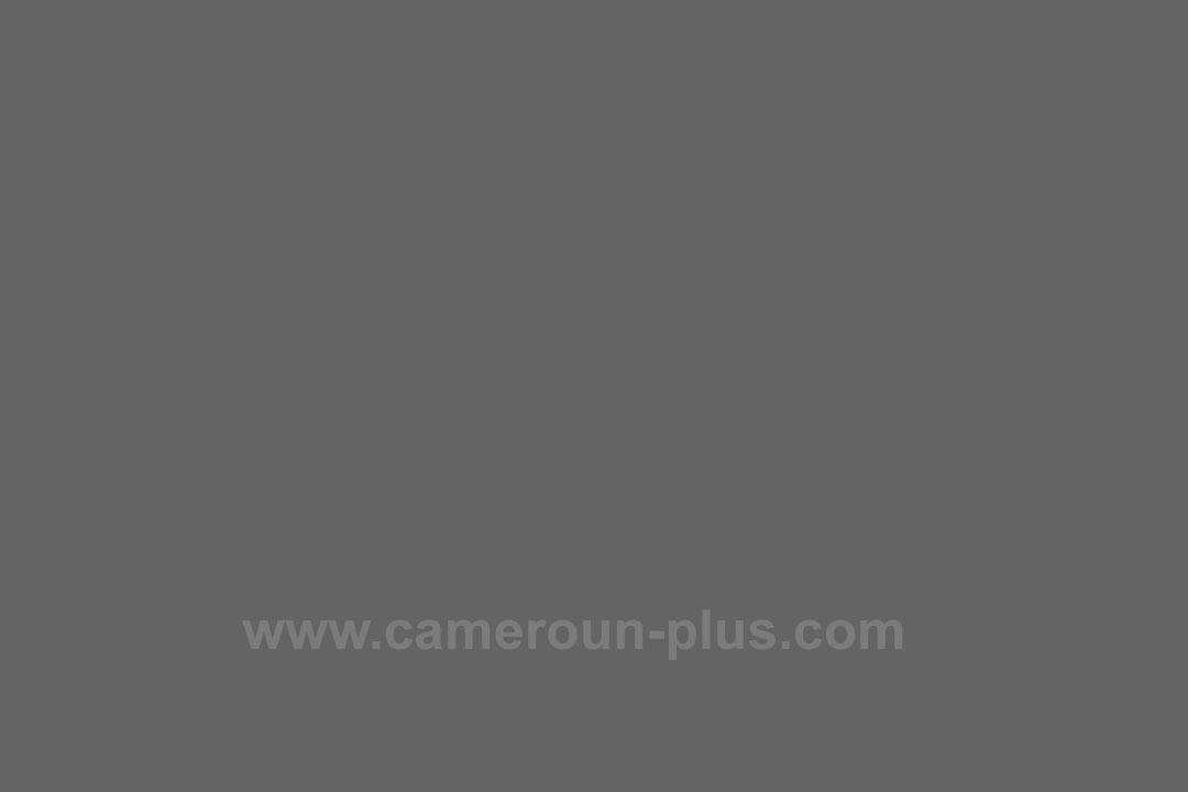 33ème Challenge international de pêche sportive du Cameroun (2023) - Bateau: SCIRE 33ème Challenge international de pêche sportive du Cameroun (2023) - Bateau: SCIRE