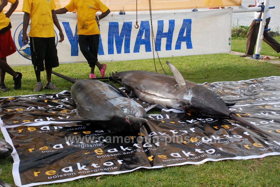 25ème Challenge international de pêche sportive du Cameroun (2013) - Premier jour 01