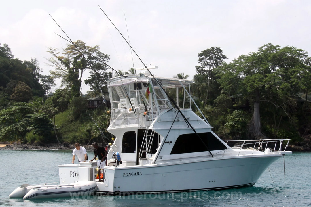 33ème Challenge international de pêche sportive du Cameroun (2023) - Bateau: PONGARA 33ème Challenge international de pêche sportive du Cameroun (2023) - Bateau: PONGARA