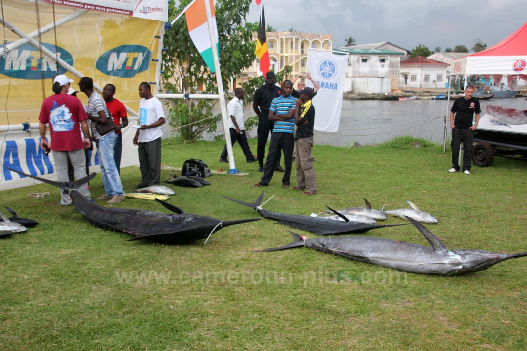 24ème Challenge international de pêche sportive du Cameroun (2012) - Deuxième jour 06