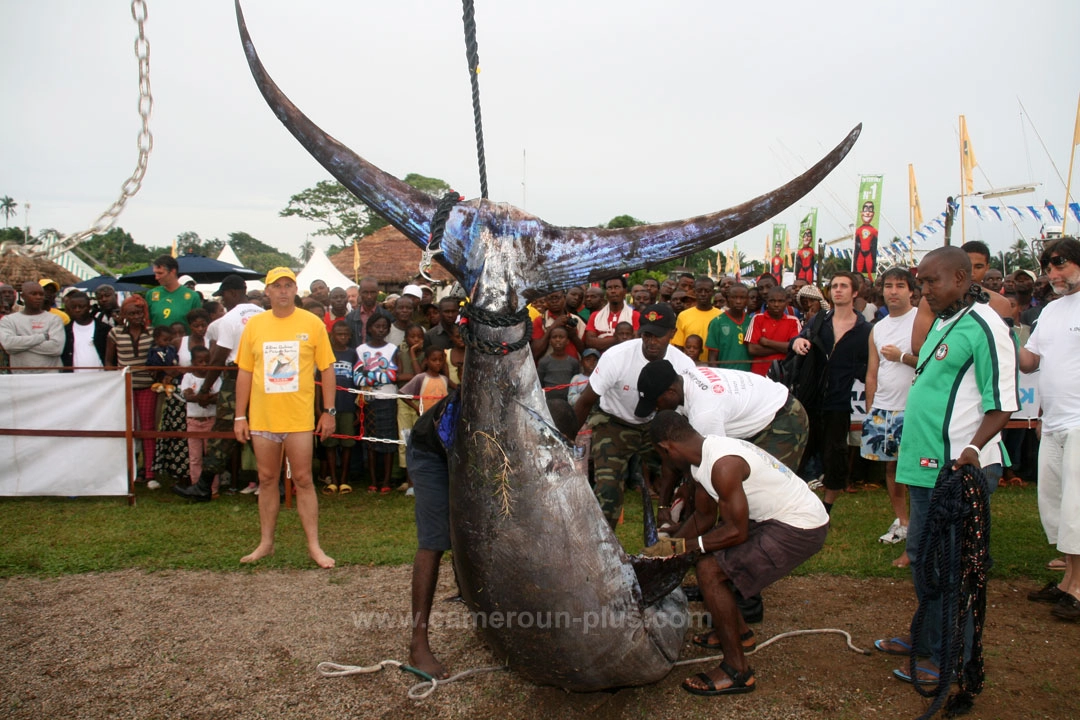 22ème Challenge international de pêche sportive du Cameroun (2010) - Premier jour 16