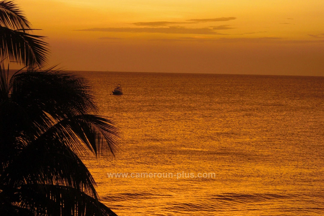 21ème Challenge international de pêche sportive du Cameroun (2009) 21ème Challenge international de pêche sportive du Cameroun (2009)