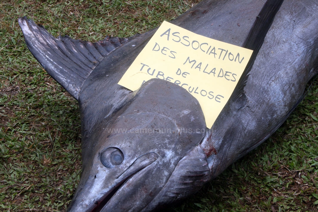 21ème Challenge international de pêche sportive du Cameroun (2009) 21ème Challenge international de pêche sportive du Cameroun (2009)