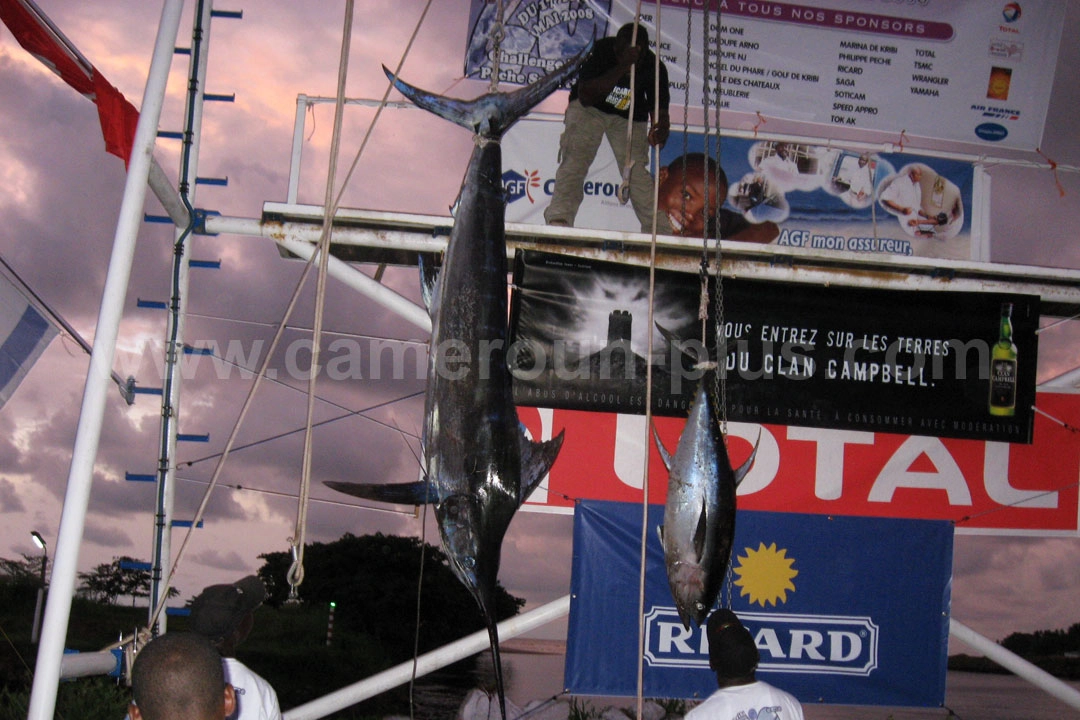 20ème Challenge international de pêche sportive du Cameroun (2008) - Premier jour 10