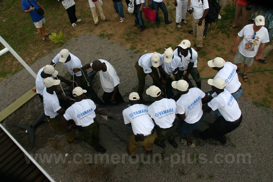 18ème Challenge international de pêche sportive du Cameroun (2006) - Premier jour 12