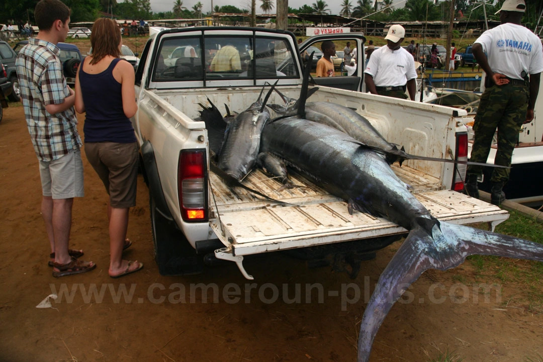 18ème Challenge international de pêche sportive du Cameroun (2006) - Premier jour 14