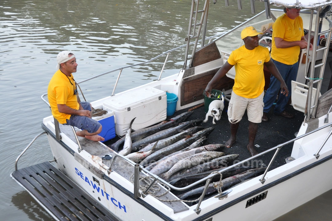 Concours de pêche barracuda (2014) - Premier jour 02